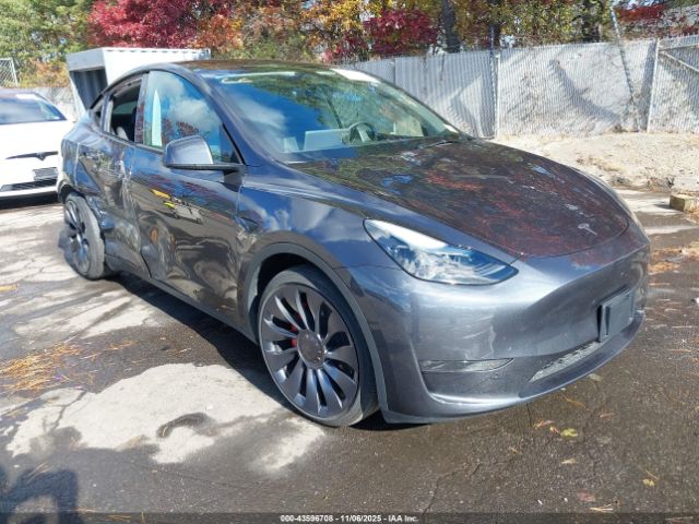 2025 TESLA MODEL Y 7SAYGDEF1SA370574 Photo 0