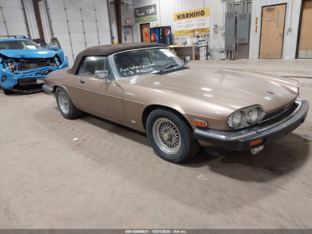 1988 JAGUAR XJS SAJNV5845JC146973 Photo 0