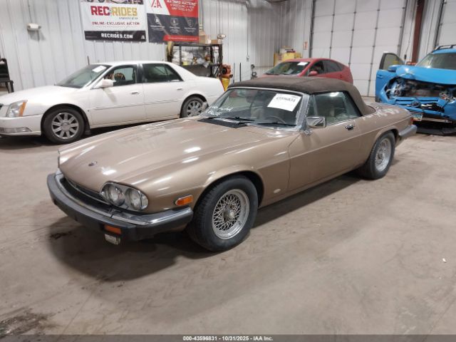 1988 JAGUAR XJS SAJNV5845JC146973 Photo 1