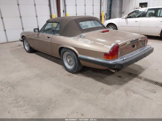 1988 JAGUAR XJS SAJNV5845JC146973 Photo 2