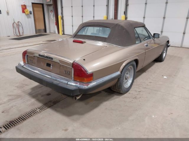 1988 JAGUAR XJS SAJNV5845JC146973 Photo 3
