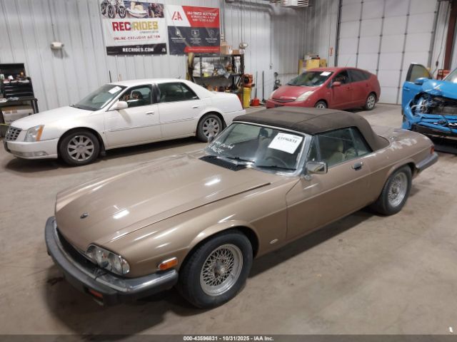1988 JAGUAR XJS SAJNV5845JC146973 Photo 5