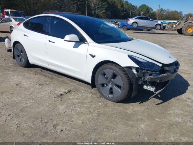 2023 TESLA MODEL 3 5YJ3E1EA3PF481539