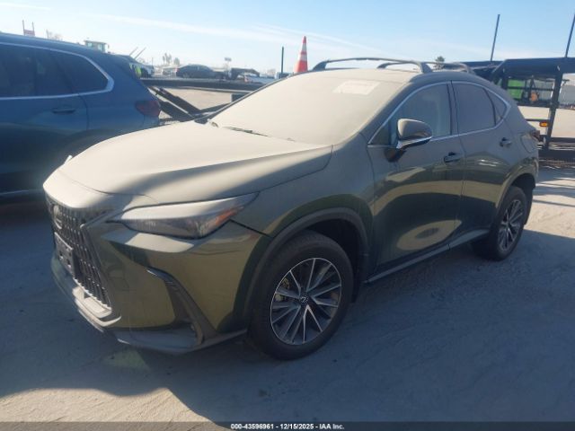 2024 LEXUS NX 250 2T2ADCAZ1RC012020 Photo 1
