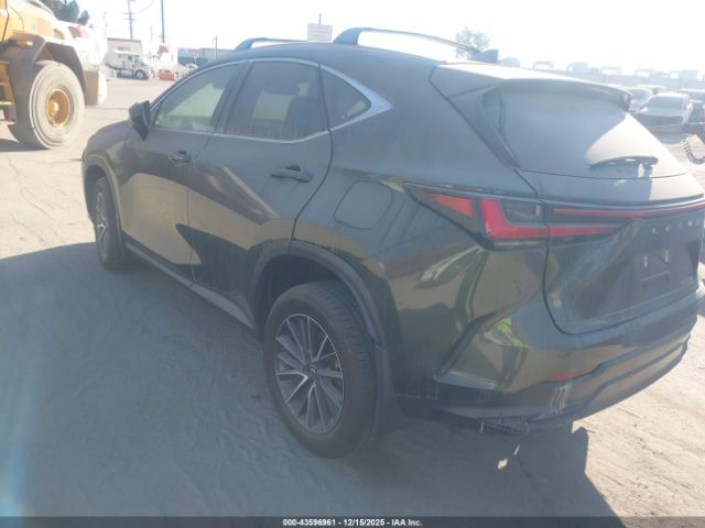 2024 LEXUS NX 250 2T2ADCAZ1RC012020 Photo 2
