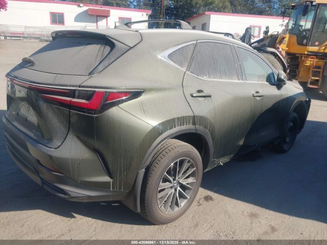 2024 LEXUS NX 250 2T2ADCAZ1RC012020 Photo 3
