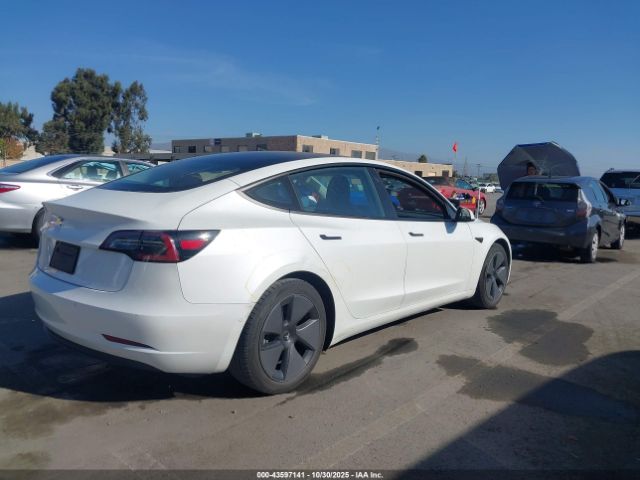 2021 TESLA MODEL 3 5YJ3E1EA9MF929942 Photo 3