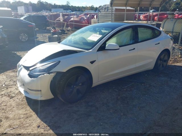 2023 TESLA MODEL 3 5YJ3E1EA0PF644986 Photo 1