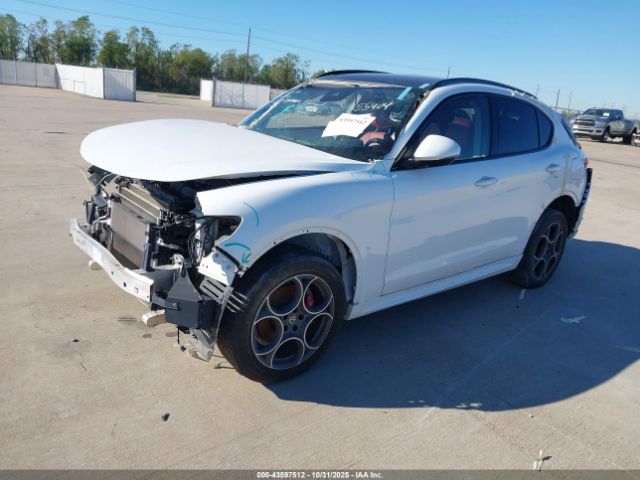 2020 ALFA ROMEO STELVIO ZASPAJAN9L7C91080 Photo 1