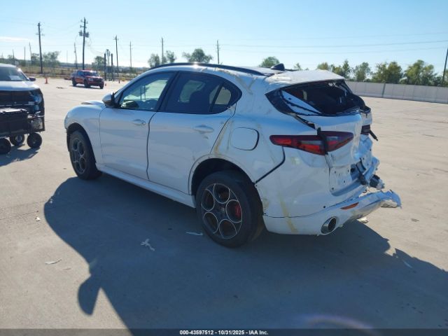 2020 ALFA ROMEO STELVIO ZASPAJAN9L7C91080 Photo 2