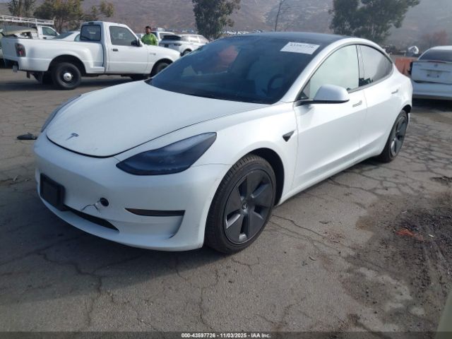 2022 TESLA MODEL 3 5YJ3E1EA5NF353199 Photo 1