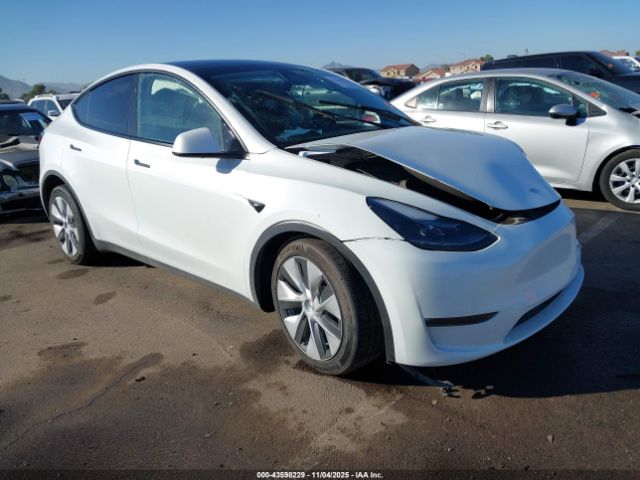 2023 TESLA MODEL Y 7SAYGDEE1PF814375 Photo 0