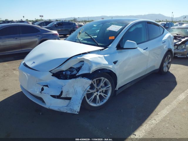 2023 TESLA MODEL Y 7SAYGDEE1PF814375 Photo 1