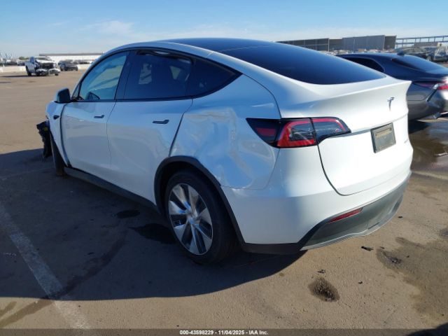 2023 TESLA MODEL Y 7SAYGDEE1PF814375 Photo 2