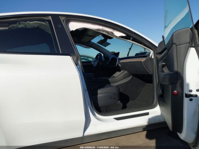 2023 TESLA MODEL Y 7SAYGDEE1PF814375 Photo 4