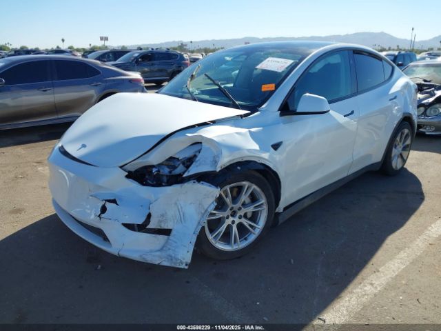 2023 TESLA MODEL Y 7SAYGDEE1PF814375 Photo 5