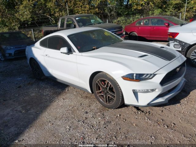 2019 FORD MUSTANG 1FA6P8TH7K5159793