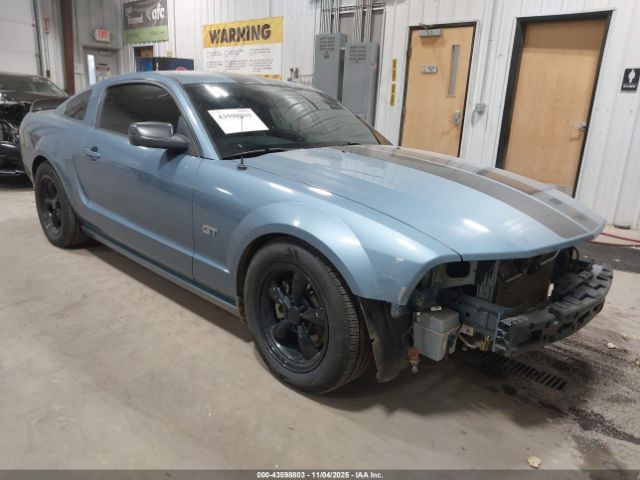 2006 FORD MUSTANG 1ZVFT82H565117729
