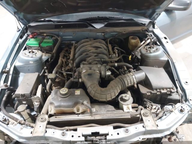 2006 FORD MUSTANG 1ZVFT82H565117729 Photo 9