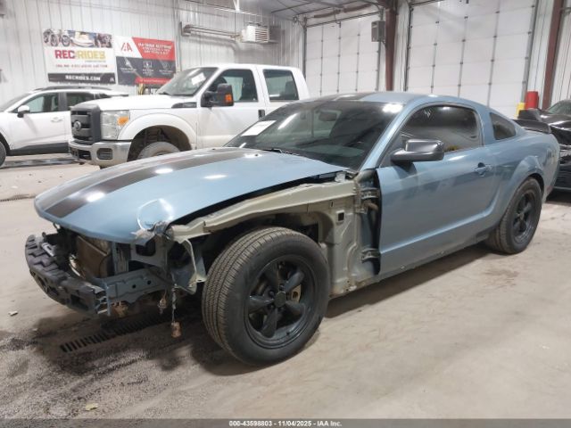 2006 FORD MUSTANG 1ZVFT82H565117729 Photo 1