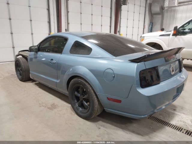 2006 FORD MUSTANG 1ZVFT82H565117729 Photo 2