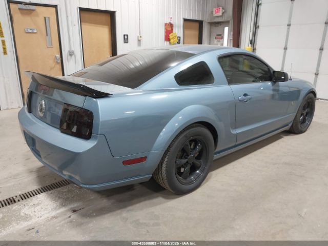 2006 FORD MUSTANG 1ZVFT82H565117729 Photo 3