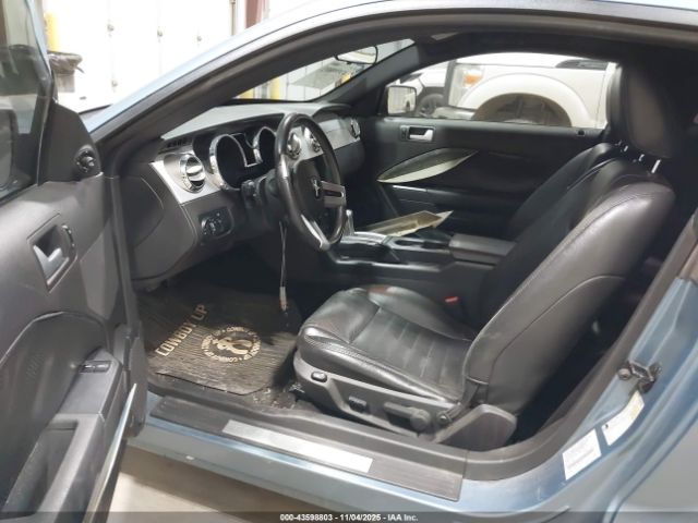 2006 FORD MUSTANG 1ZVFT82H565117729 Photo 4