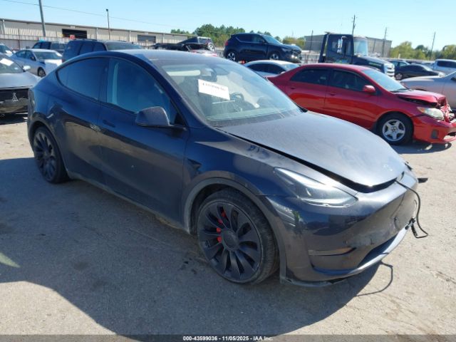 2024 TESLA MODEL Y 7SAYGDEF2RA311205