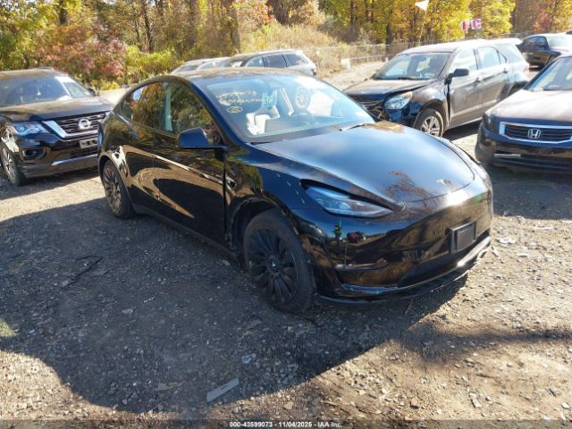 2023 TESLA MODEL Y 7SAYGAEE4PF921547 Photo 0