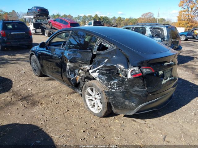 2023 TESLA MODEL Y 7SAYGAEE4PF921547 Photo 2