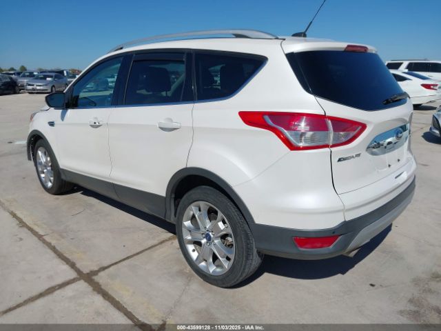 2014 FORD ESCAPE 1FMCU0JXXEUB15116 Photo 2