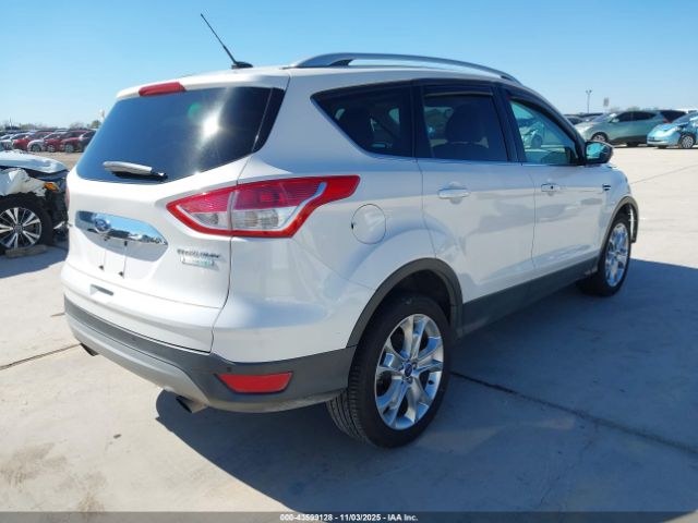 2014 FORD ESCAPE 1FMCU0JXXEUB15116 Photo 3