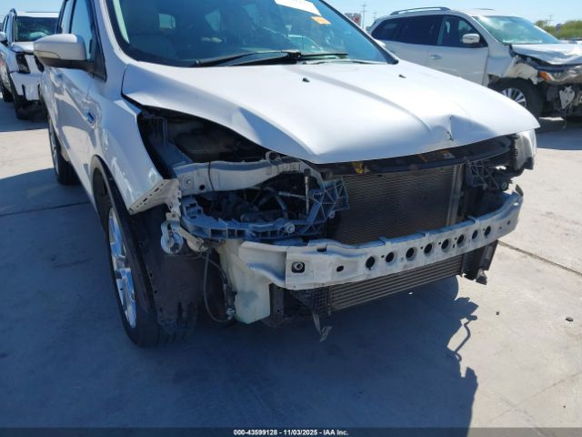 2014 FORD ESCAPE 1FMCU0JXXEUB15116 Photo 5