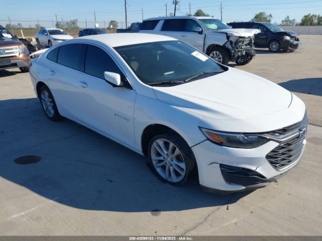 2019 CHEVROLET MALIBU 1G1ZG5ST5KF184464