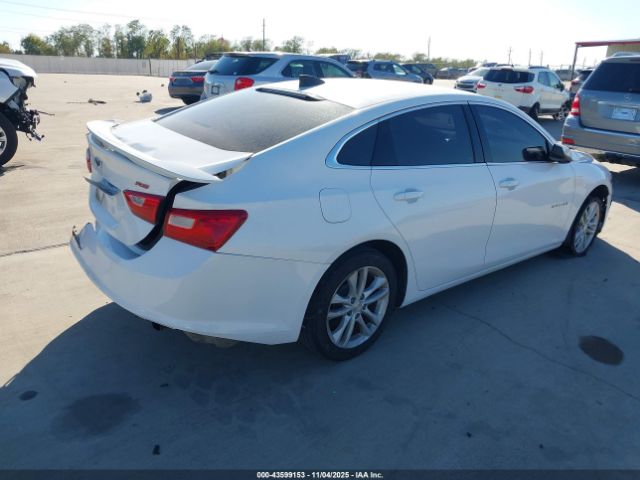 2019 CHEVROLET MALIBU 1G1ZG5ST5KF184464 Photo 3