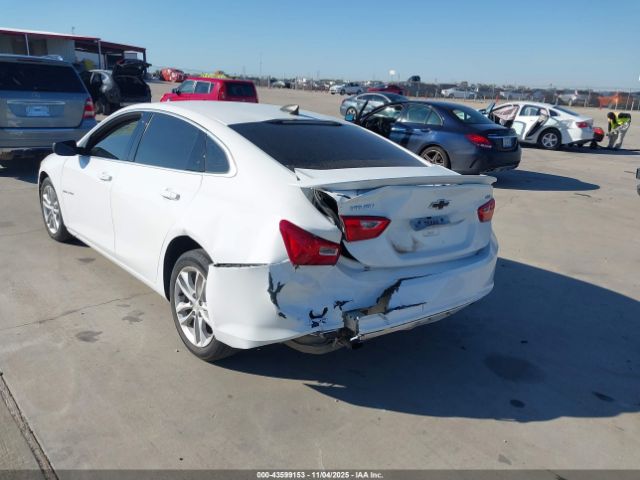 2019 CHEVROLET MALIBU 1G1ZG5ST5KF184464 Photo 5