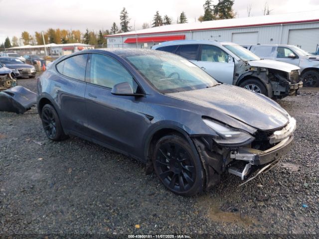2023 TESLA MODEL Y 7SAYGDEE6PF883126 Photo 0
