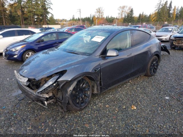 2023 TESLA MODEL Y 7SAYGDEE6PF883126 Photo 1