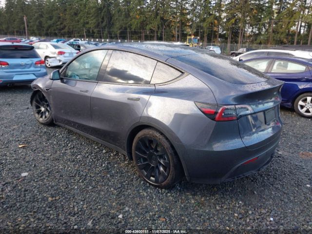 2023 TESLA MODEL Y 7SAYGDEE6PF883126 Photo 2