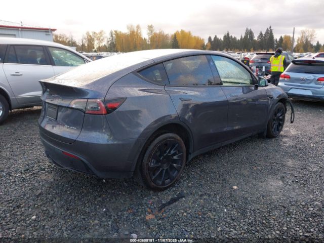 2023 TESLA MODEL Y 7SAYGDEE6PF883126 Photo 3