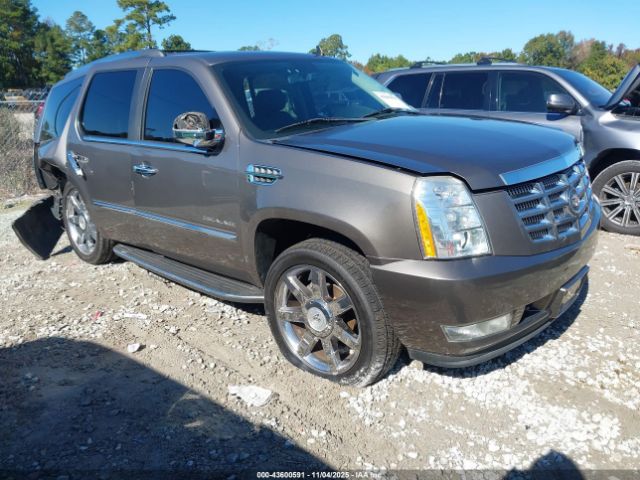 2011 CADILLAC ESCALADE 1GYS4BEF6BR198386