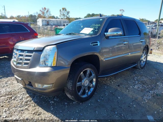 2011 CADILLAC ESCALADE 1GYS4BEF6BR198386 Photo 1