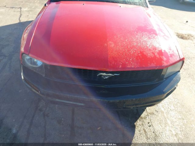 2007 FORD MUSTANG 1ZVFT84NX75215787 Photo 5