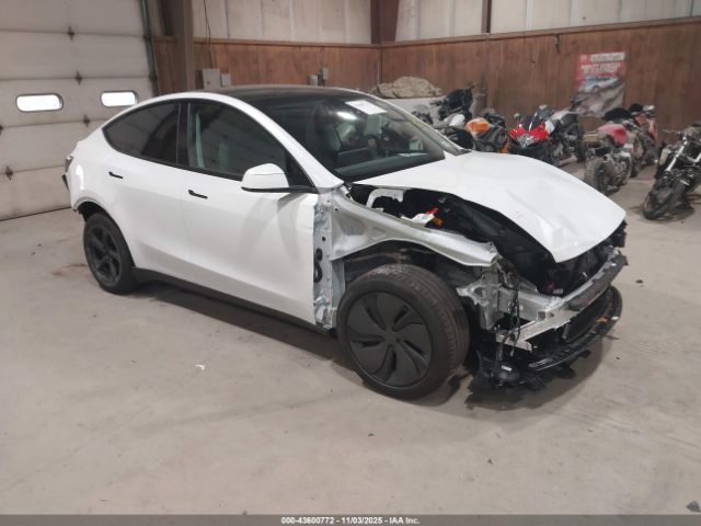2026 TESLA MODEL Y 7SAYGDED7TA439378