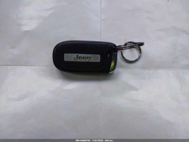 2019 JEEP RENEGADE ZACNJBBB0KPK33710 Photo 10