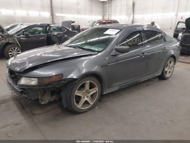2006 ACURA TL 19UUA66236A069070 Photo 1