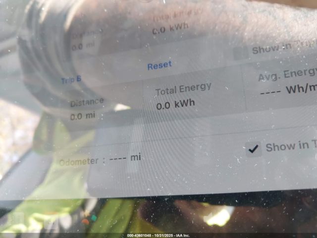 2024 TESLA MODEL 3 5YJ3E1EA6RF797374 Photo 6