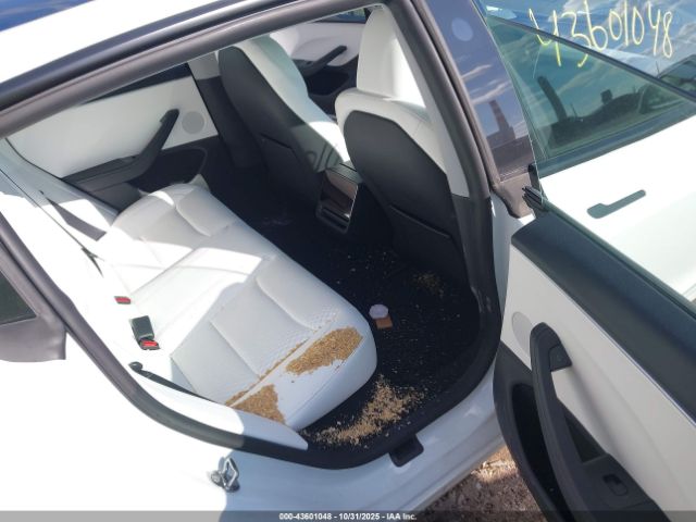 2024 TESLA MODEL 3 5YJ3E1EA6RF797374 Photo 7