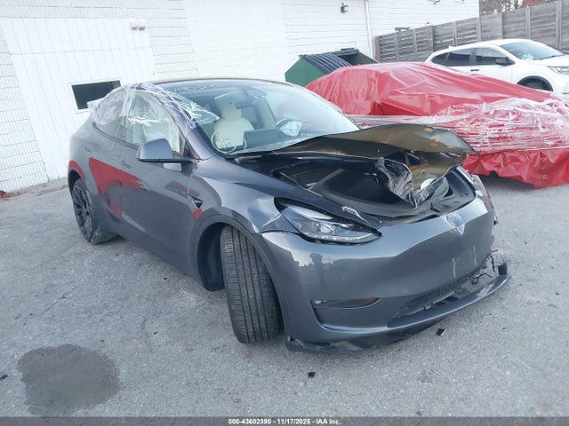 2023 TESLA MODEL Y 7SAYGDEF5PF842687 Photo 0