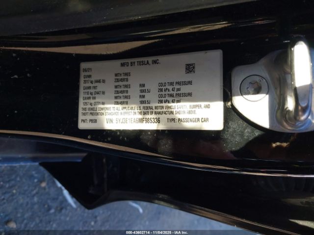 2021 TESLA MODEL 3 5YJ3E1EA6MF985336 Photo 8